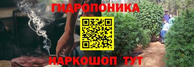 СК Чебоксары